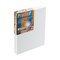 Practica Economy Stretched Cotton Canvas 2 Packs - Acid-Free Acrylic Primed Canvas for Acrylics, Pastels, Graphite, & More!